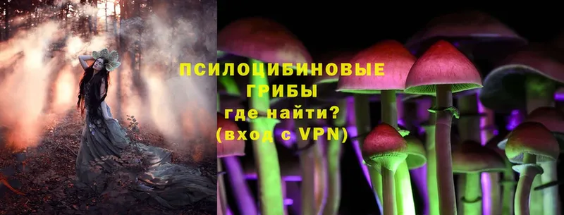 Псилоцибиновые грибы MAGIC MUSHROOMS Мичуринск